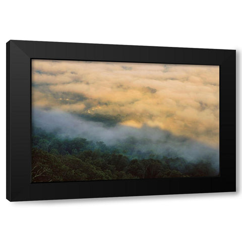 Golden Morning 4 Black Modern Wood Framed Art Print with Double Matting by Malone, Will