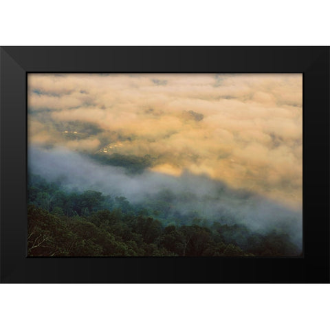 Golden Morning 4 Black Modern Wood Framed Art Print by Malone, Will