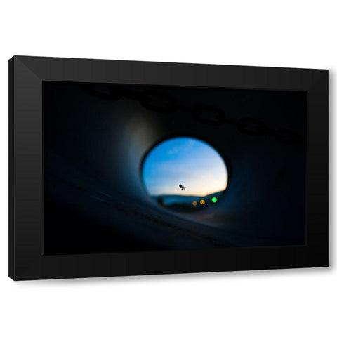 Spider Black Modern Wood Framed Art Print with Double Matting by Malone, Will
