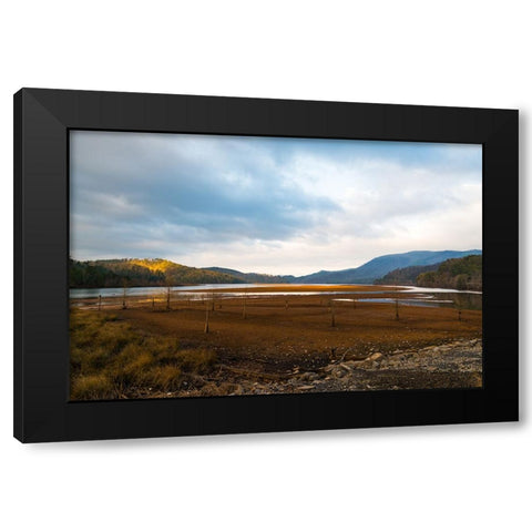 Dried Out Black Modern Wood Framed Art Print with Double Matting by Malone, Will