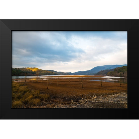 Dried Out Black Modern Wood Framed Art Print by Malone, Will