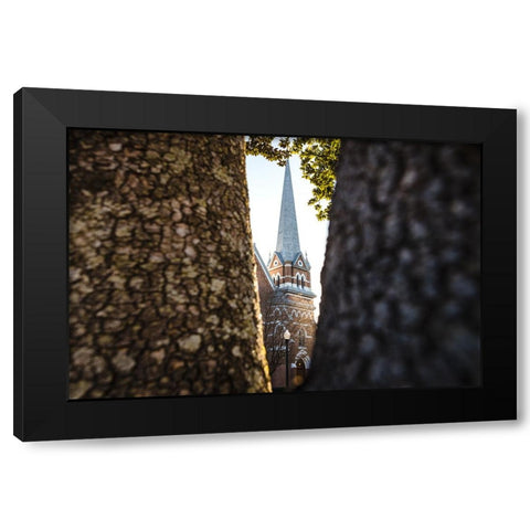 Through the Trees Black Modern Wood Framed Art Print with Double Matting by Malone, Will