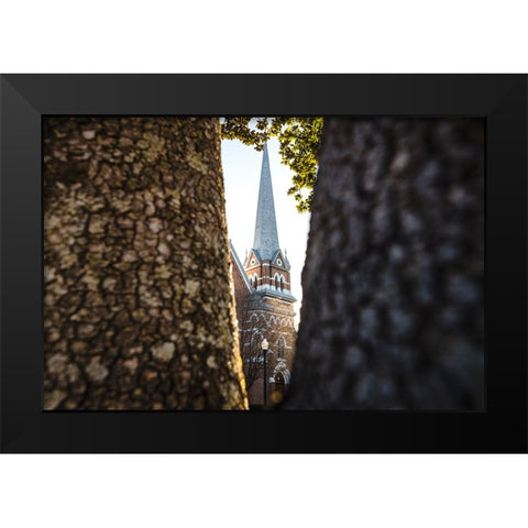 Through the Trees Black Modern Wood Framed Art Print by Malone, Will