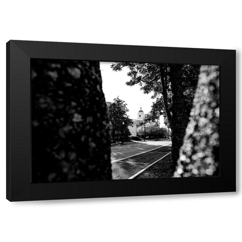 Through the Trees 2 Black Modern Wood Framed Art Print by Malone, Will
