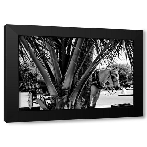 Carriage Tour Black Modern Wood Framed Art Print with Double Matting by Malone, Will