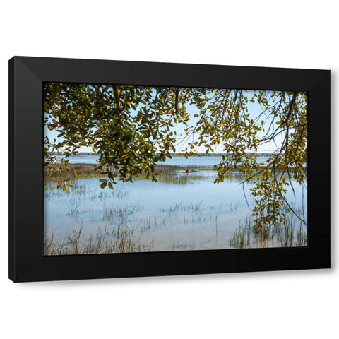 Relaxation Station Black Modern Wood Framed Art Print by Malone, Will