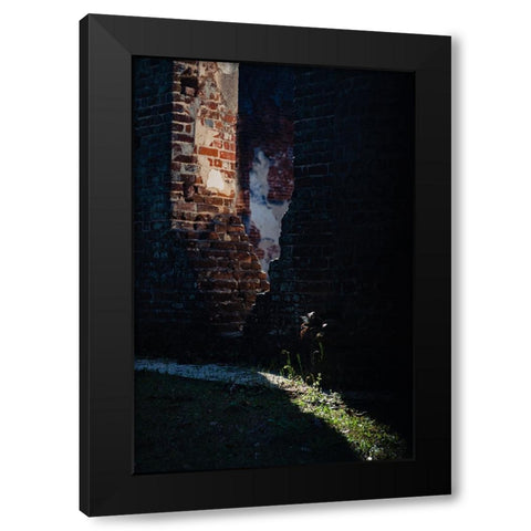 Sunlight Black Modern Wood Framed Art Print by Malone, Will