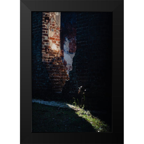 Sunlight Black Modern Wood Framed Art Print by Malone, Will