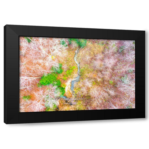 Aerial Creek Black Modern Wood Framed Art Print with Double Matting by Malone, Will