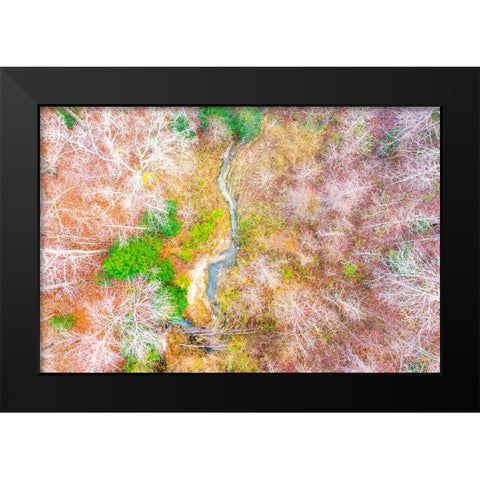 Aerial Creek Black Modern Wood Framed Art Print by Malone, Will
