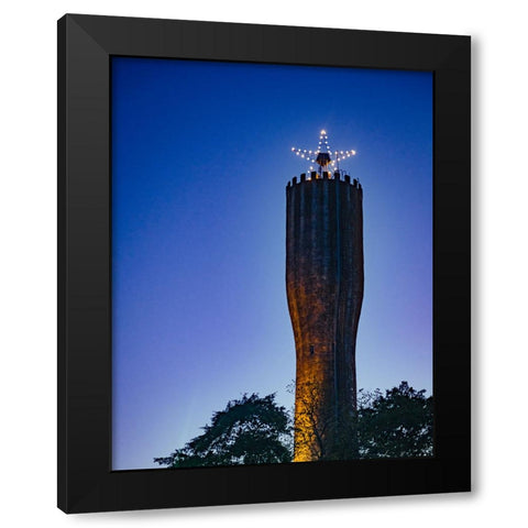 Belton Strong Black Modern Wood Framed Art Print with Double Matting by Malone, Will