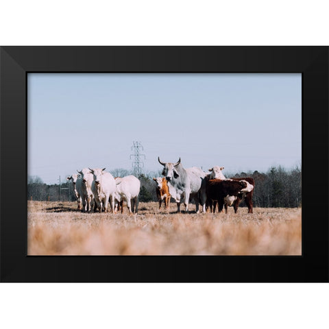 Drawing a Crowd Re-edit Black Modern Wood Framed Art Print by Malone, Will