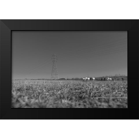 Here They Come Black Modern Wood Framed Art Print by Malone, Will