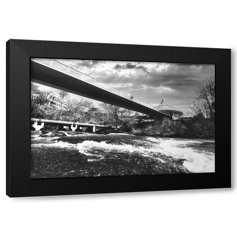 Cancer Survivor Park 3 BW Black Modern Wood Framed Art Print with Double Matting by Malone, Will
