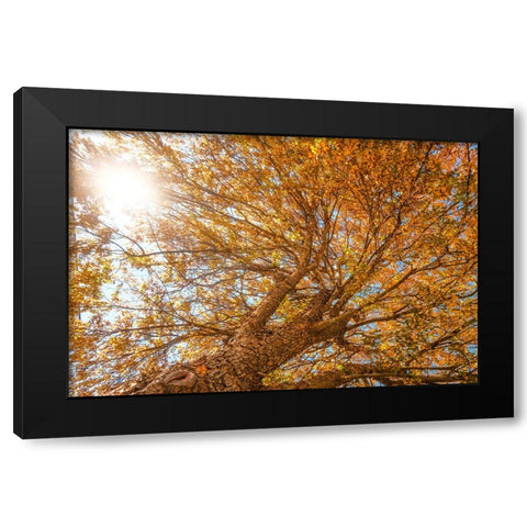 Grand Fall 2 Black Modern Wood Framed Art Print with Double Matting by Malone, Will