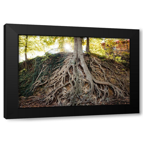 Roots Black Modern Wood Framed Art Print by Malone, Will