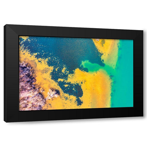 Savannah 2 Black Modern Wood Framed Art Print with Double Matting by Malone, Will
