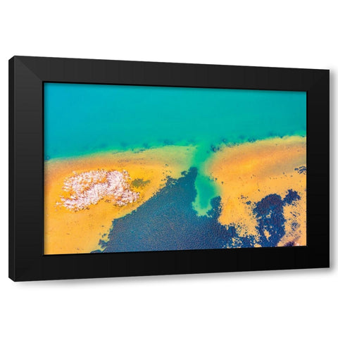 Savannah 4 Black Modern Wood Framed Art Print by Malone, Will