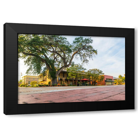 City Hall Black Modern Wood Framed Art Print with Double Matting by Malone, Will