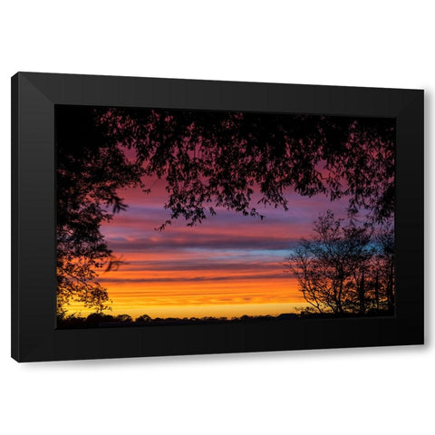 Backyard Sun Black Modern Wood Framed Art Print with Double Matting by Malone, Will