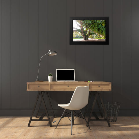 Big Oak 2 Black Modern Wood Framed Art Print by Malone, Will