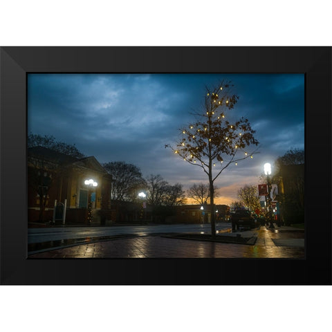 Charlie Brown Tree Black Modern Wood Framed Art Print by Malone, Will