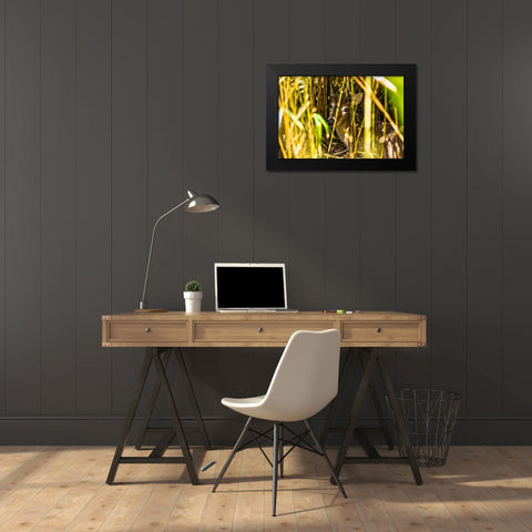 Deer at Rest Black Modern Wood Framed Art Print by Malone, Will