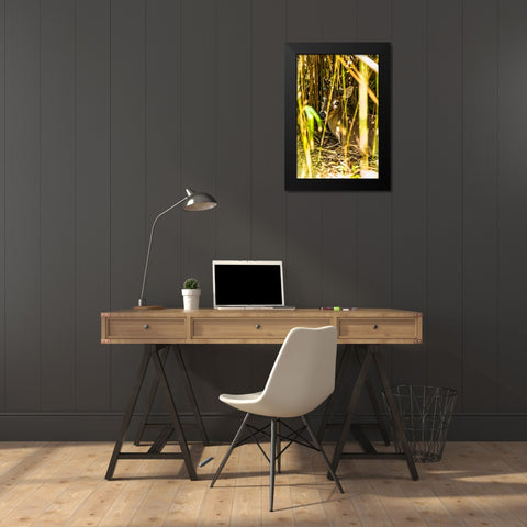 Deer at Rest Vertical Black Modern Wood Framed Art Print by Malone, Will