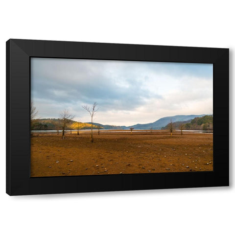 Dried Out 2 Black Modern Wood Framed Art Print by Malone, Will