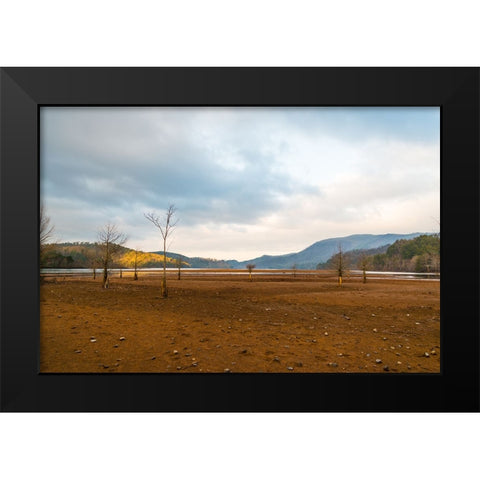 Dried Out 2 Black Modern Wood Framed Art Print by Malone, Will