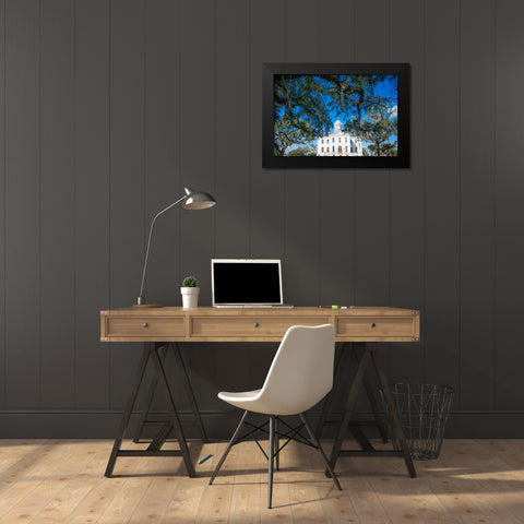 Live Oak Courthouse Black Modern Wood Framed Art Print by Malone, Will