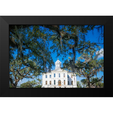 Live Oak Courthouse Black Modern Wood Framed Art Print by Malone, Will