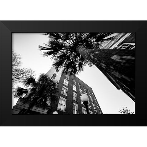 Metro Palm Black Modern Wood Framed Art Print by Malone, Will