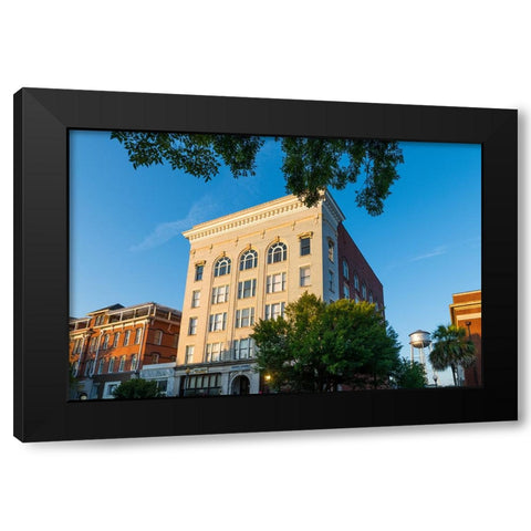 Thomasville Morning Black Modern Wood Framed Art Print by Malone, Will