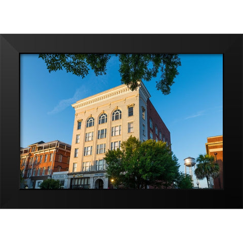 Thomasville Morning Black Modern Wood Framed Art Print by Malone, Will