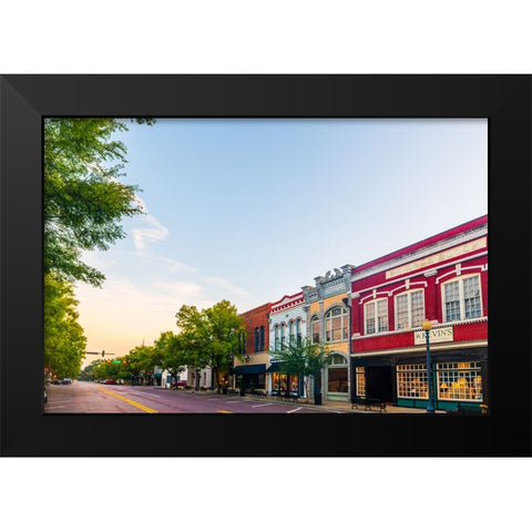 Thomasville Morning 3 Black Modern Wood Framed Art Print by Malone, Will