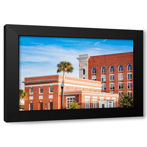 Thomasville Strip 1 Black Modern Wood Framed Art Print by Malone, Will