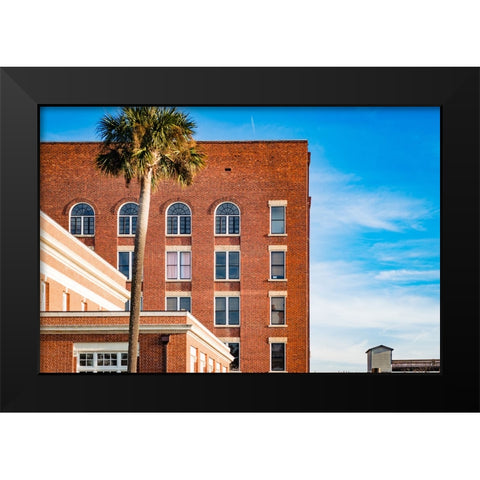 Thomasville Strip 2 Black Modern Wood Framed Art Print by Malone, Will