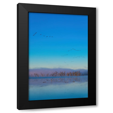 Tired Creek Fog Black Modern Wood Framed Art Print by Malone, Will