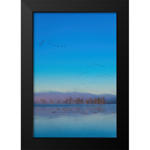 Tired Creek Fog Black Modern Wood Framed Art Print by Malone, Will