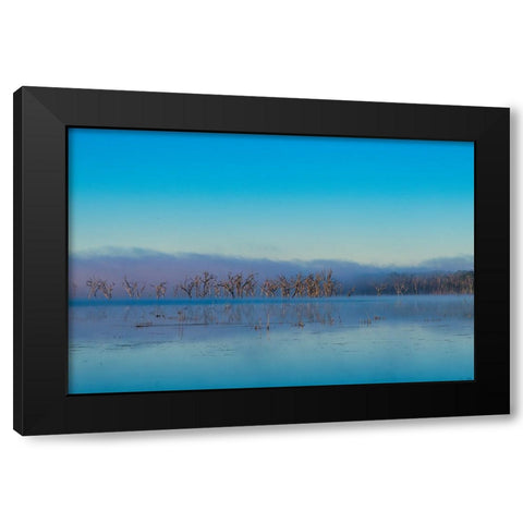 Tired Creek Morning 2 Black Modern Wood Framed Art Print with Double Matting by Malone, Will