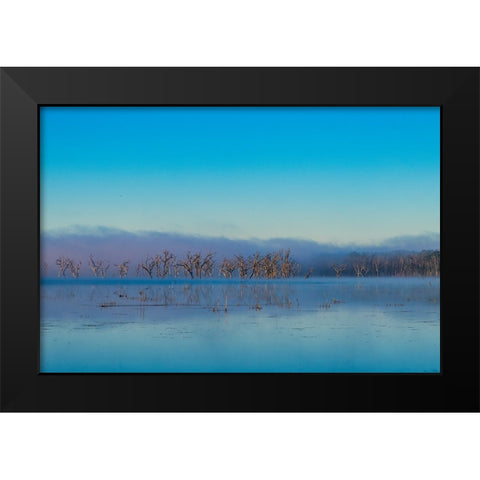 Tired Creek Morning 2 Black Modern Wood Framed Art Print by Malone, Will