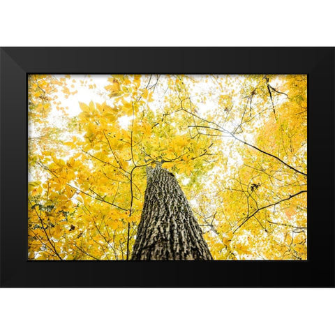 Yellow 2B Black Modern Wood Framed Art Print by Malone, Will