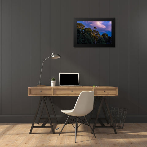 Tree Spotlight Black Modern Wood Framed Art Print by Malone, Will
