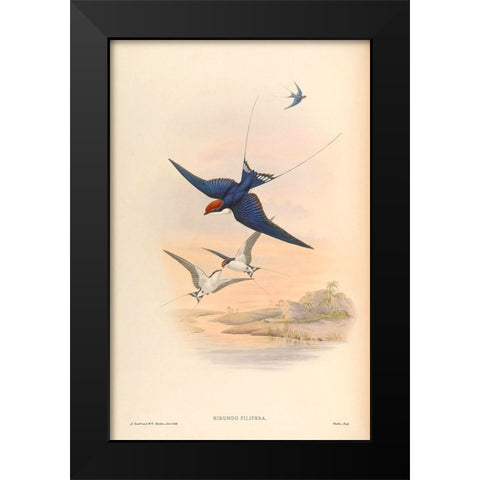 Hirundo Filifera Black Modern Wood Framed Art Print by CAG