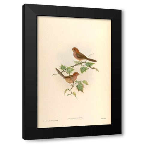 Suthora Brunnea Black Modern Wood Framed Art Print by CAG