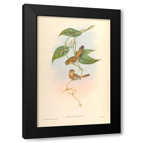 Suthora Fulvifrous Black Modern Wood Framed Art Print by CAG