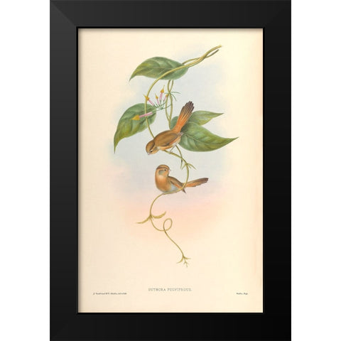 Suthora Fulvifrous Black Modern Wood Framed Art Print by CAG