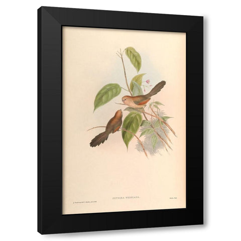 Suthora Webbiana Black Modern Wood Framed Art Print with Double Matting by CAG