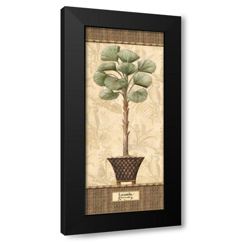 Botanical Palm I Black Modern Wood Framed Art Print with Double Matting by Audrey, Charlene